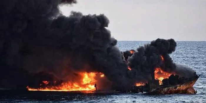 2020十部必看抗疫电影,2019年度十大院线佳片