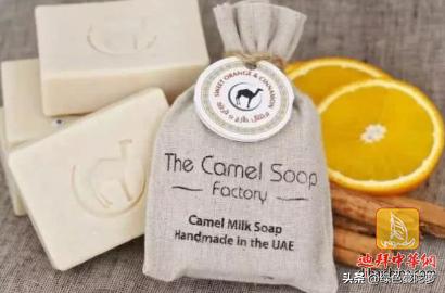 迪拜特产种子推荐,迪拜十大特产水果是什么