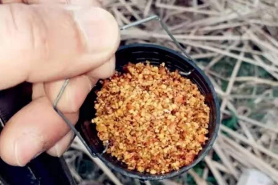 天气热大板鲫为什么钓不到了,气温高了传统钓就不行了