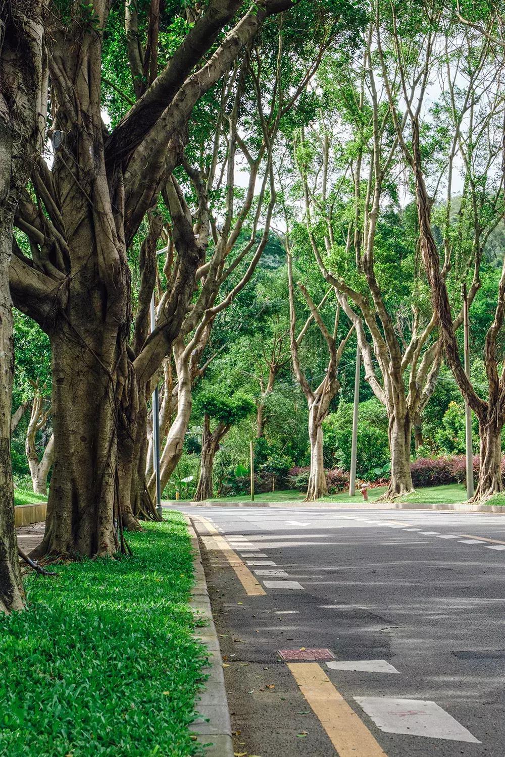 深圳银湖山游玩,深圳银湖有什么好玩的地方