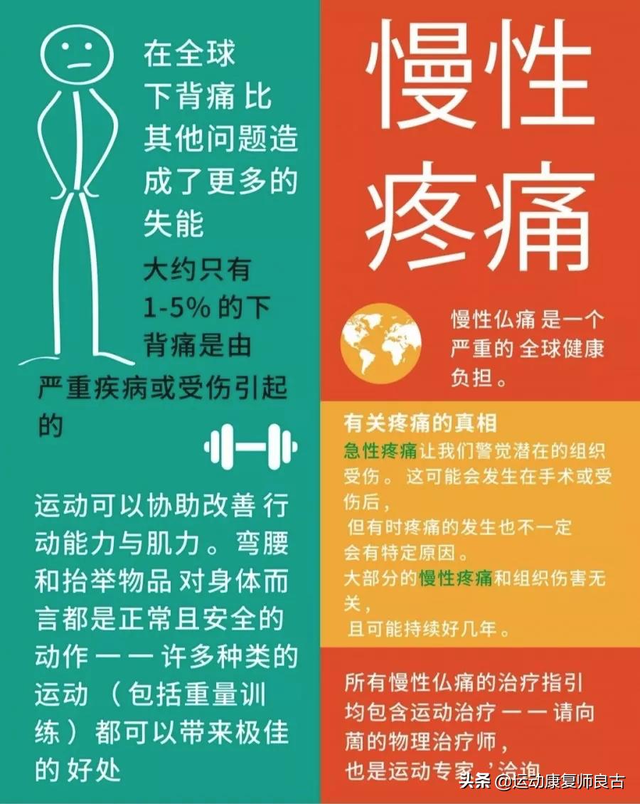 世界物理治疗日是哪一天,什么是世界物理治疗日