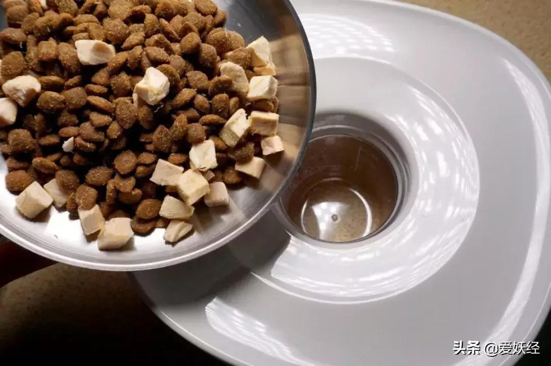 lorde全价猫粮,lorde猫粮值不值得购买