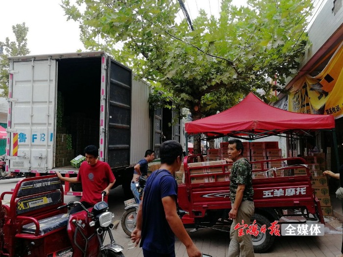 眉县猕猴桃软糯香甜刚刚好,欢迎全国人民品尝眉县猕猴桃