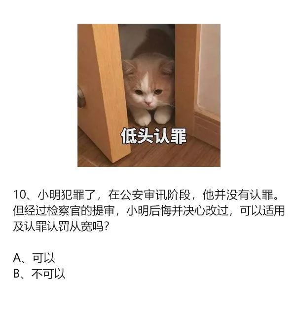 必考的10道题,必考题答案汇总
