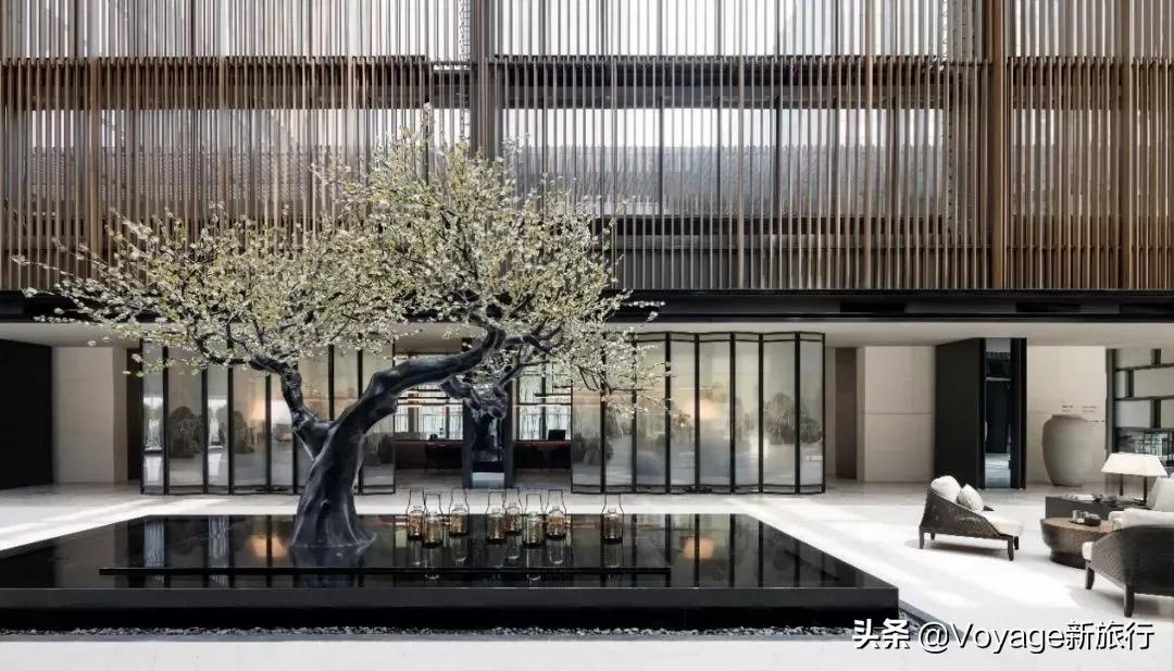 旅行民宿春天赏花,附近哪里有赏花民宿