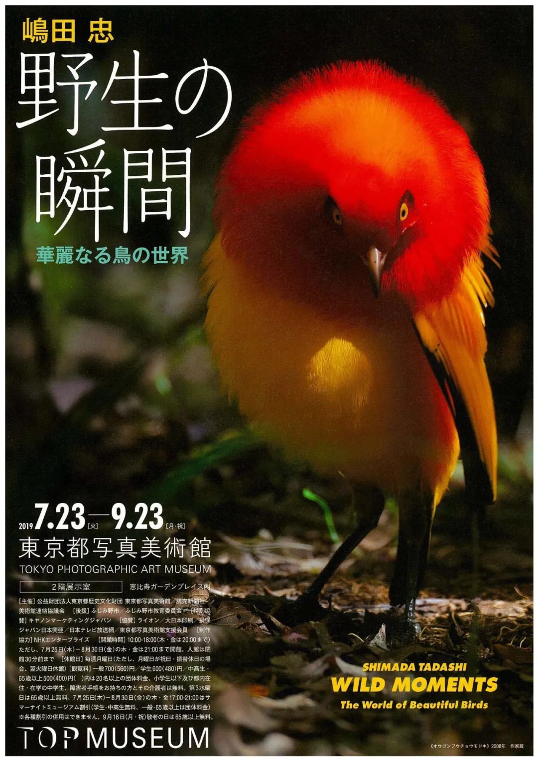 设计日本知名美术馆,日本东京根津美术馆设计