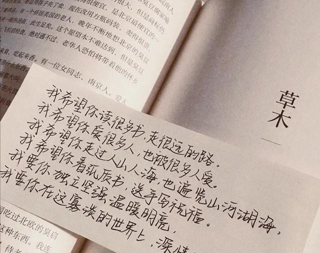 我爱你如命你却伤我入骨,我爱你如痴也恨你入骨