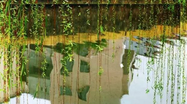 我们背诵并搜集了关于春天的古诗,描写春天的100首古诗三年级下