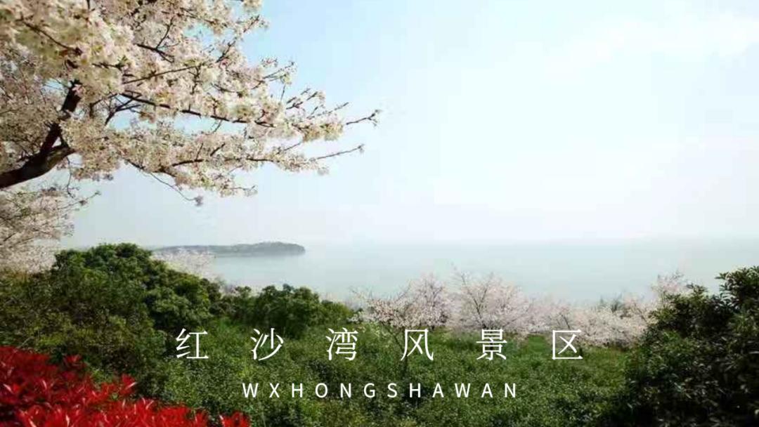 鏃犻敗鍦伴搧浼樻儬,鏃犻敗鍦伴搧浼樻儬娲诲姩鏄庣粏