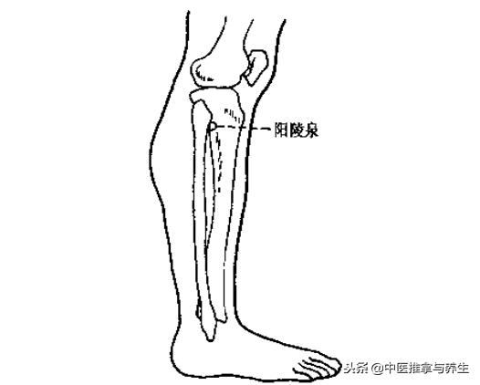 慢性胆囊炎穴位疗法,治疗慢性胆囊炎的穴位