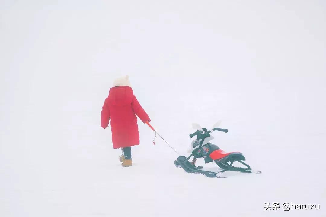 南方也能下雪吗,南方也能见到雪