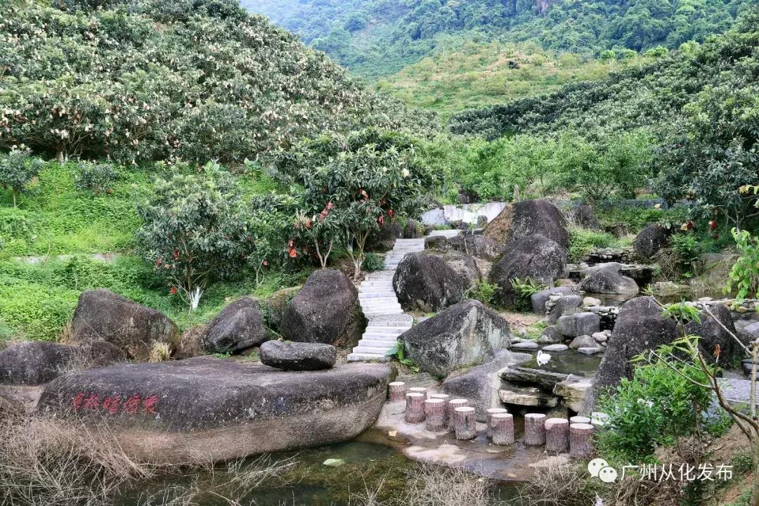 新鲜出炉！从化这两个地方入选“广东最美田园”！