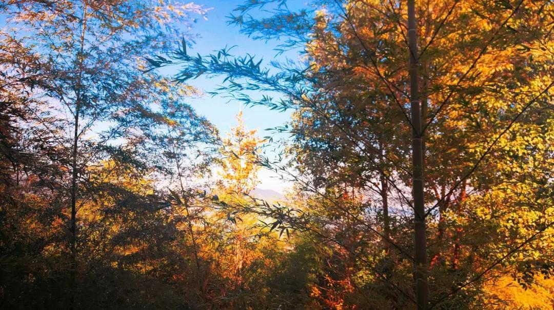 宁波周末走走,宁波旅游必去十大景点推荐自驾游