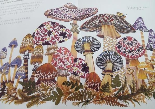 自然博物之旅,自然博物之旅感悟收获