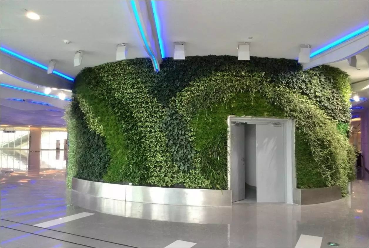 pvc塑料绿植,绿植盆里的塑料