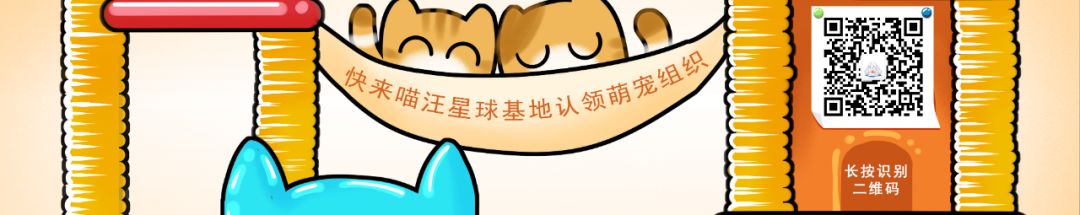 当猫咪剃了毛之后,春天猫咪剃了毛一直发抖