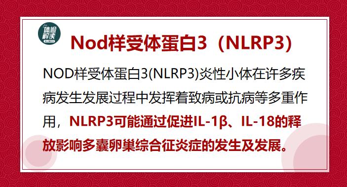 多囊卵巢检查报告,多囊检查12项