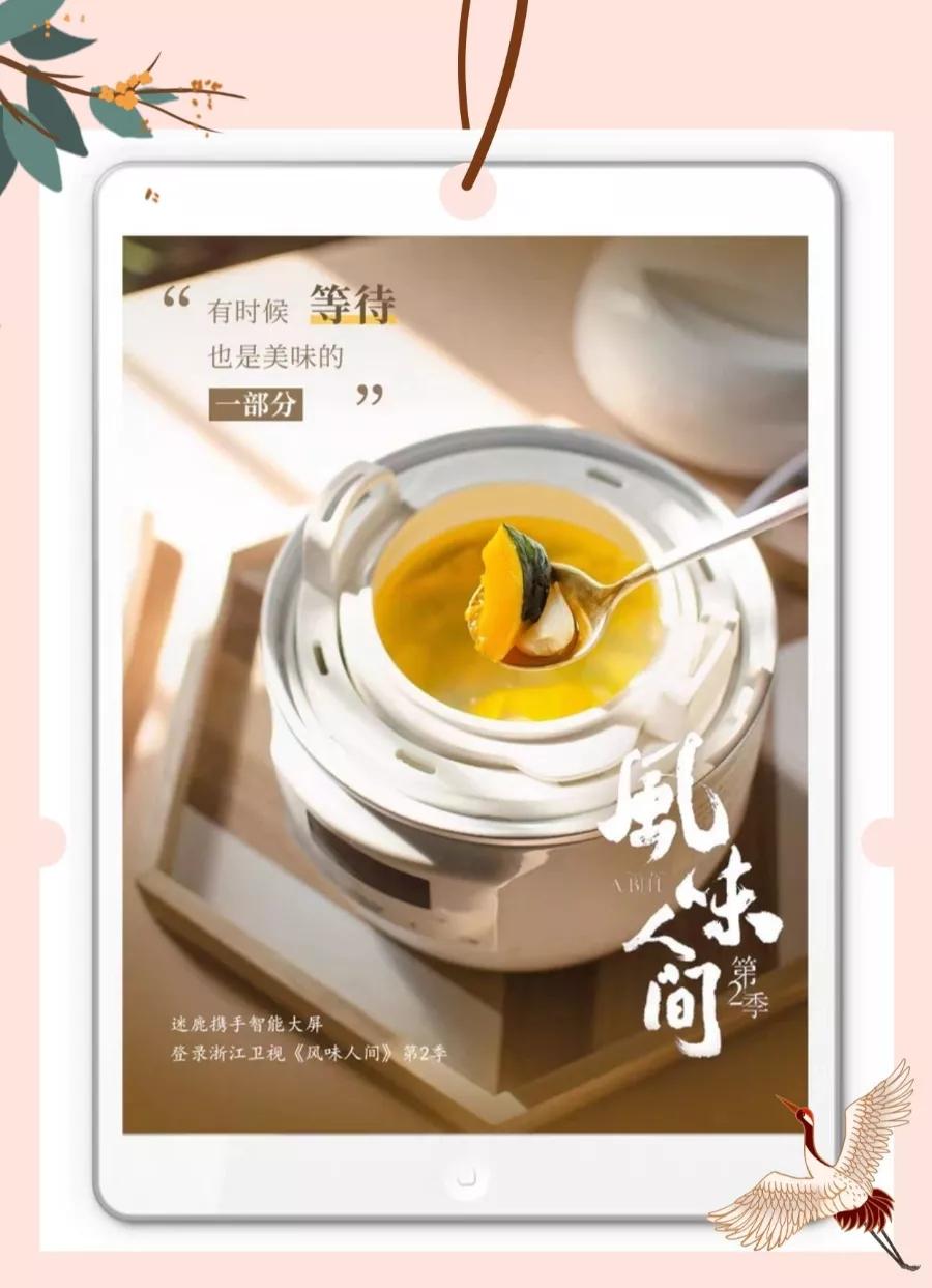 高端健康养生电锅,电炖锅养生