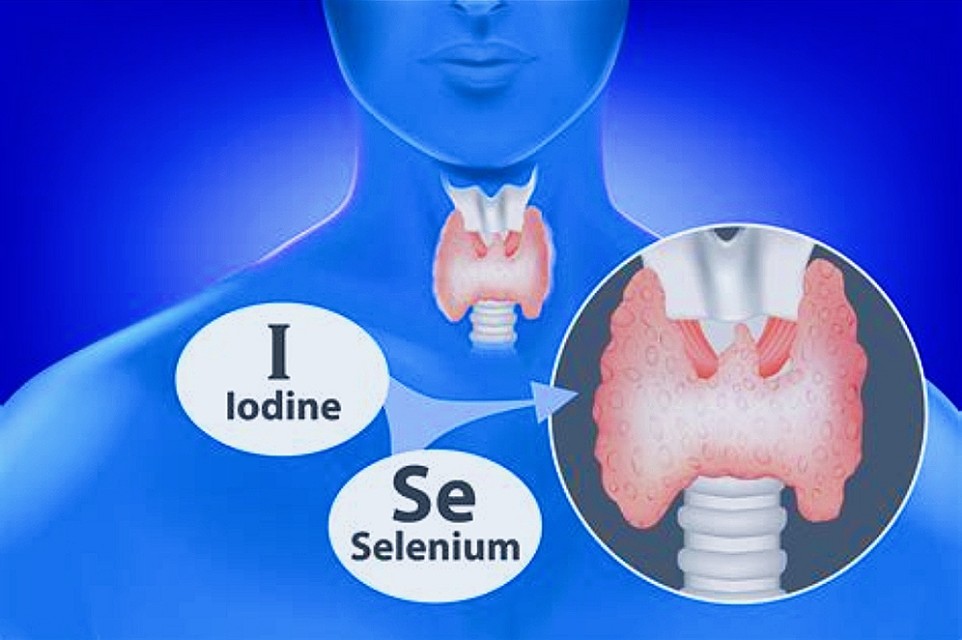 硒对人体有多少种好处,硒对身体有多重要您知道吗