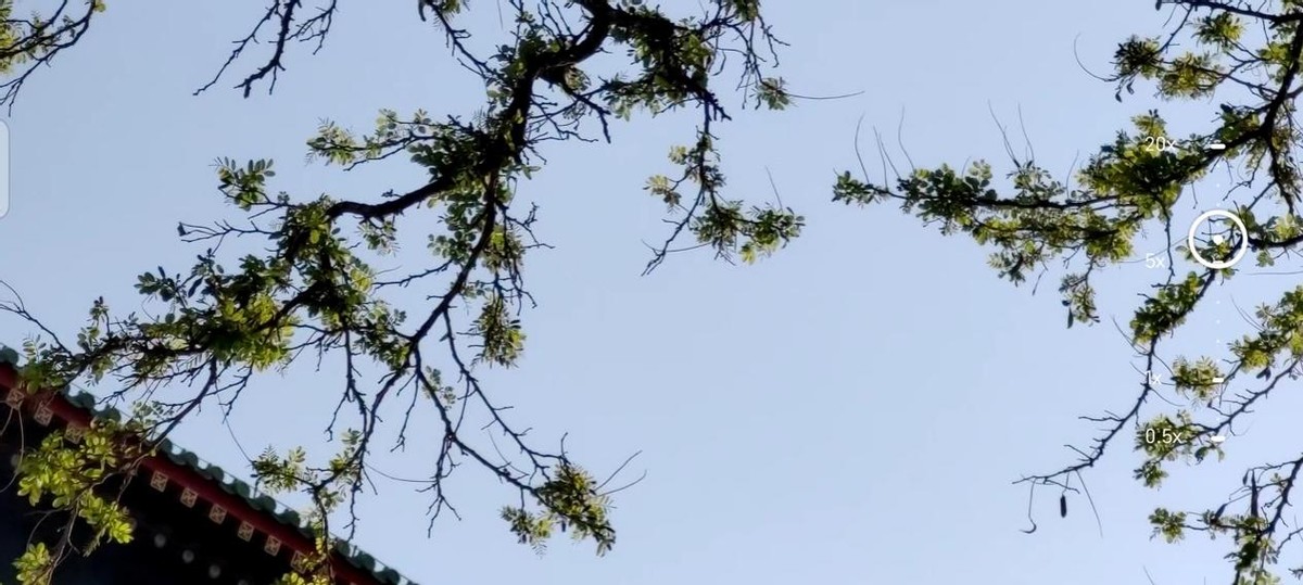 6400万高清三主摄中兴Axon30Ultra高能影像旗舰评测