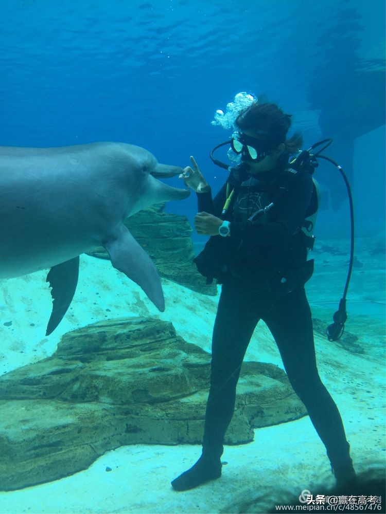 漂洋过海来看你土耳其版,漂洋过海来看你越南