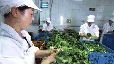 曾让美国员工学做包子学到哭,甘其食的10年创业之路