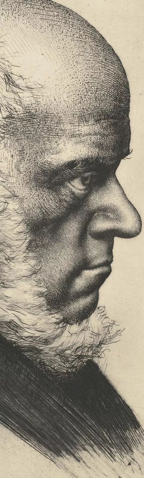 华卿画室素描头像,北京华卿画室在哪