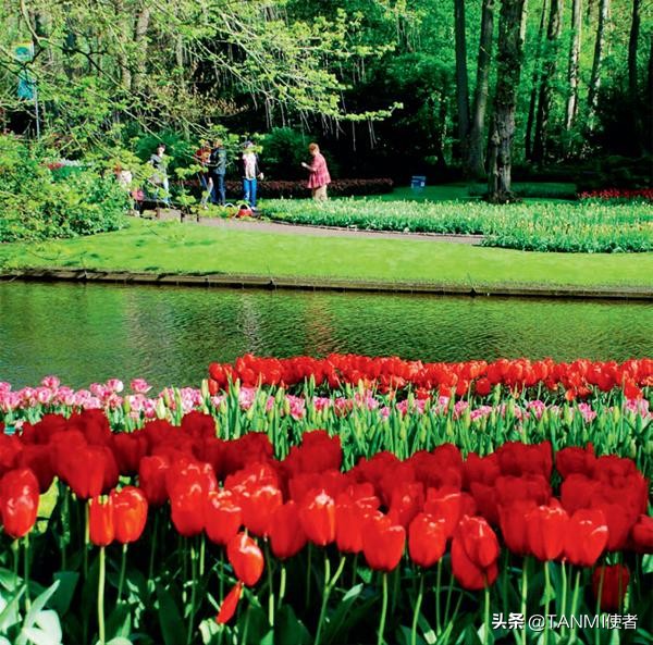 荷兰羊角古村,荷兰最美羊角村小镇