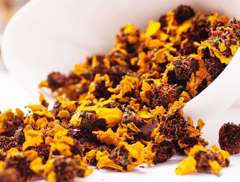 昆仑雪菊特级价格,真正的昆仑雪菊