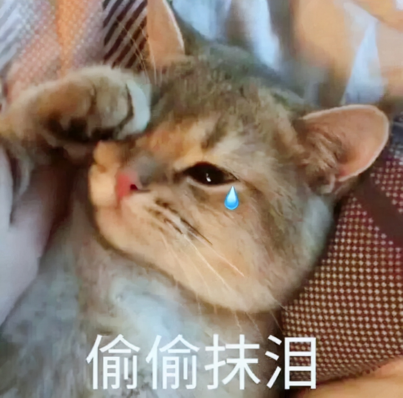 梅西荷尔蒙激素,梅西打生长激素