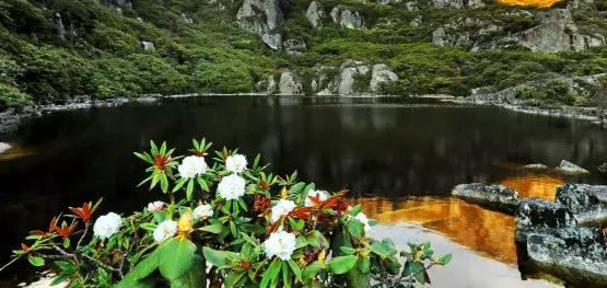 凉山最漂亮的花海,西昌赏花攻略