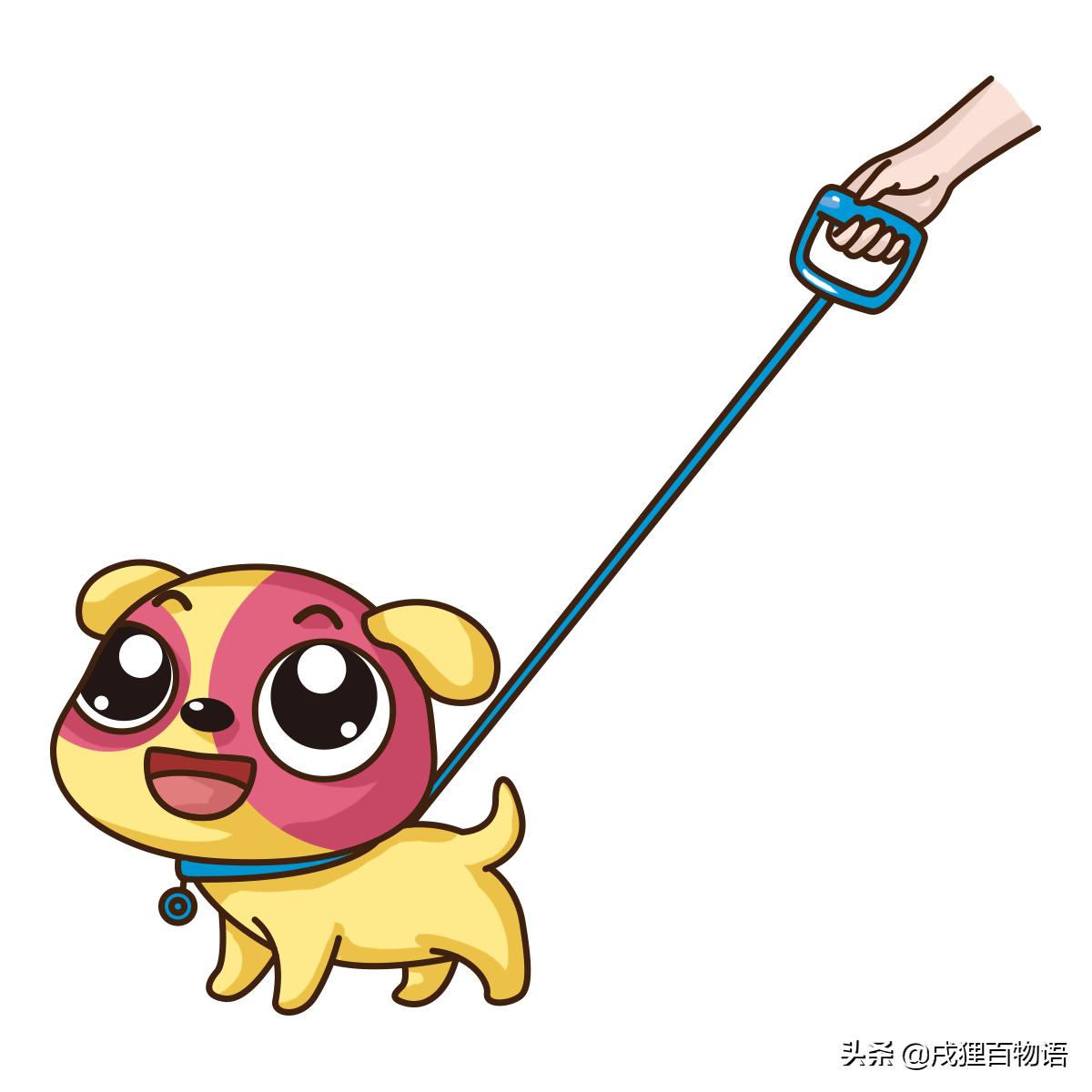 狗狗爱爬护栏,泰迪狗老是趴着是怎么回事