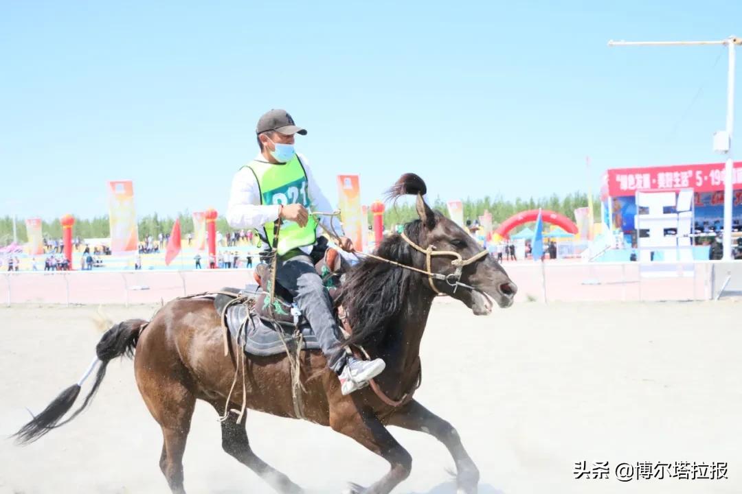 鍗氬窞鐨勫ソ娑堟伅,鍗氬窞澶╂皵浠婂ぉ