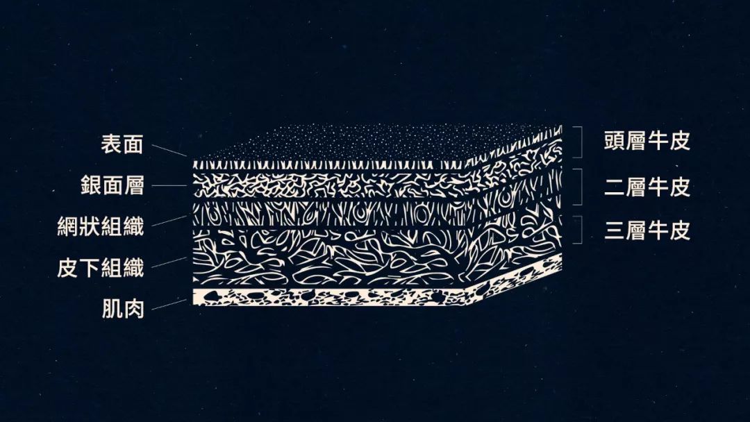 麂皮绒的保养方法,goto养护麂皮