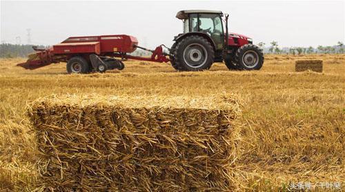 当下赚钱零成本创业生意怎么做,五个适合穷人创业项目低成本生意