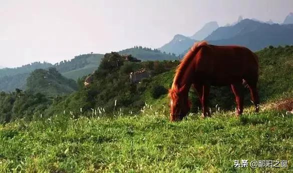 河北有了这些均温不足20℃的空调山，再热情的“烤验”也挡得住