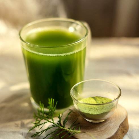 青汁到底好不好的视频,青汁为什么很火