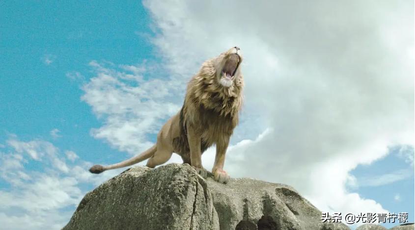 魔戒纳尼亚传奇哈利波特,纳尼亚传奇和哈利波特分院帽