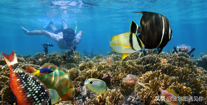 这里胜过斯米兰，媲美马代，是泰国安达曼海上的最后一个处女地！