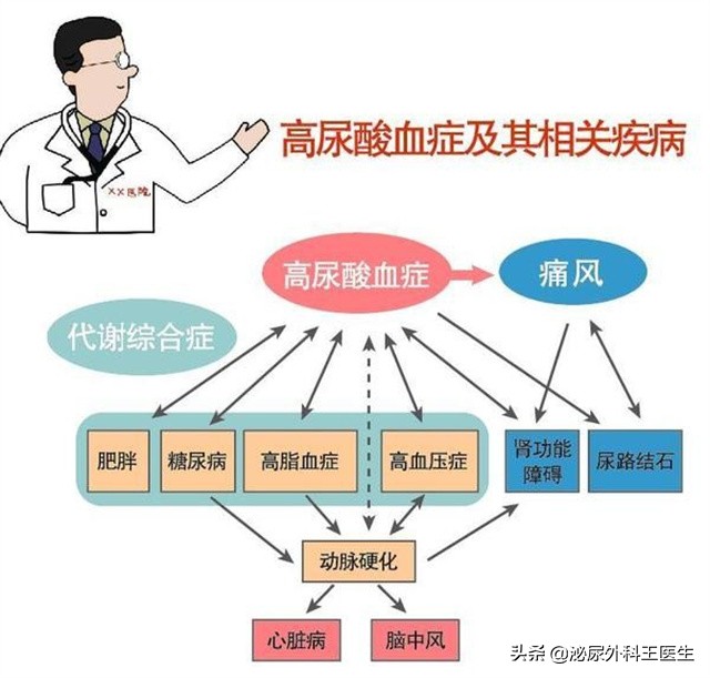 尿酸高有什么方法将尿酸降下来,尿酸升高了怎么办教你5招降尿酸