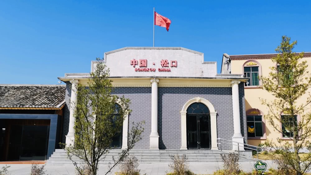 广东“最牛”古镇,曾经接纳过两个落难太子,有8万人遍布世界