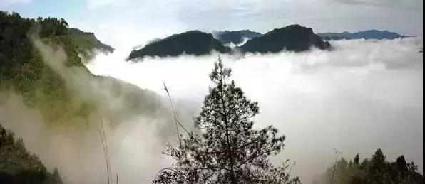 巴中有多大面积和人口,巴中和汉中差距有多大