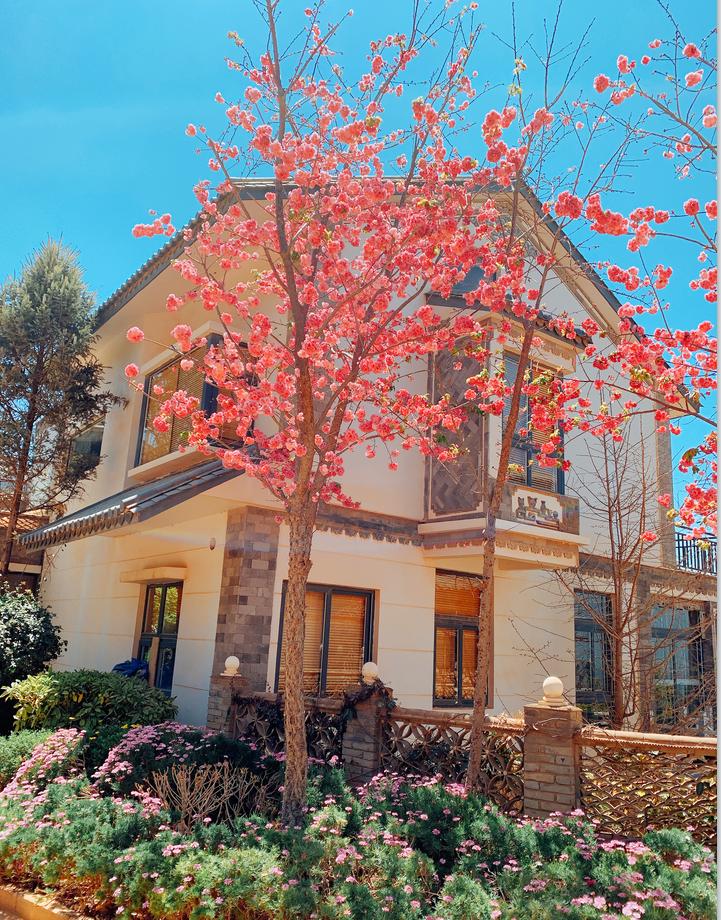 2021年大理佳利集团第七届短视频/摄影大赛火热进行中