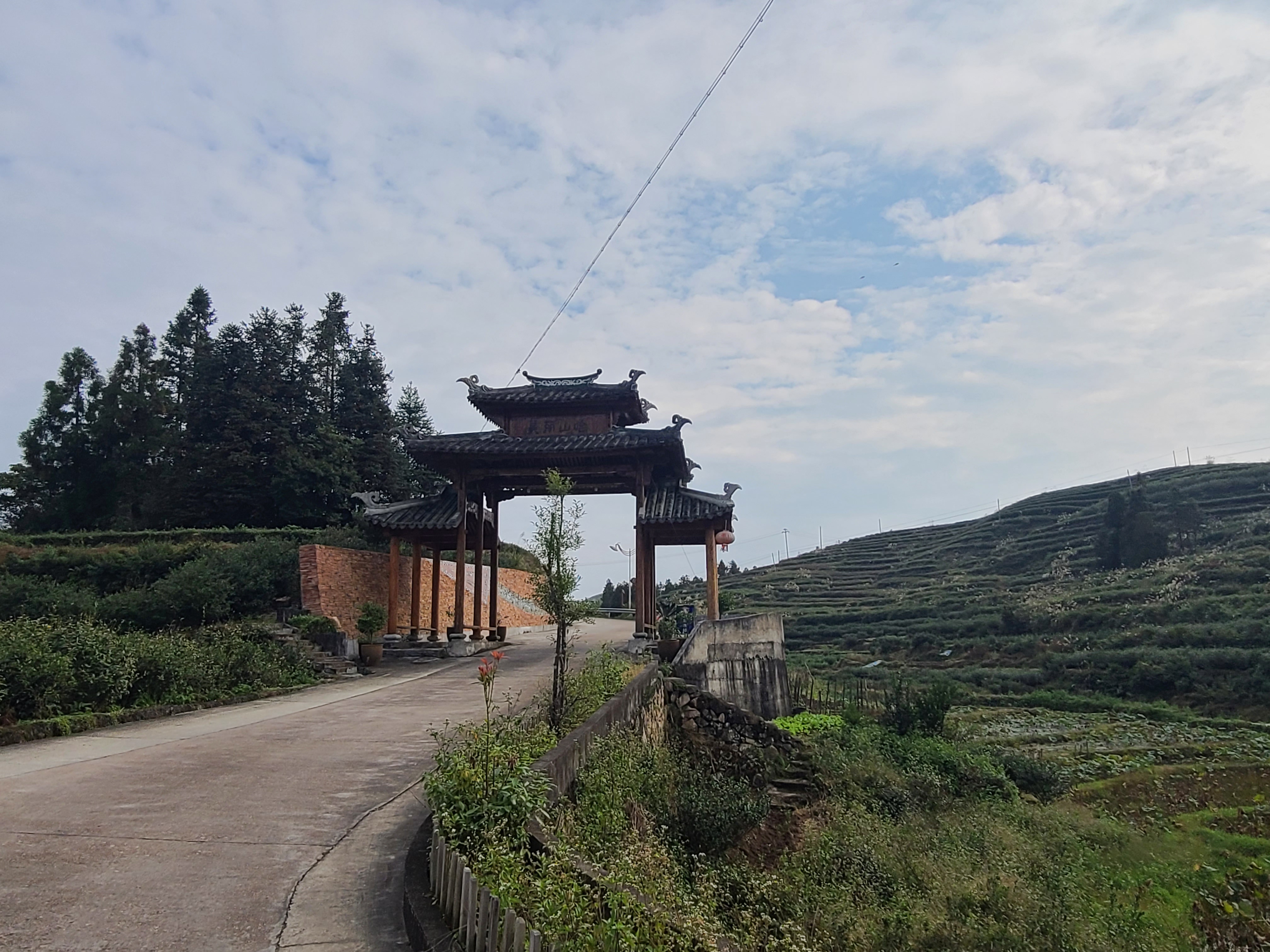 泰顺最出名的茶叶 (泰顺名茶有哪些)