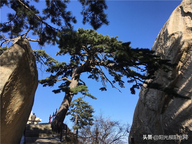拍一个新的渭南给远方的朋友看|“新渭南新名片”学生导游活动启动
