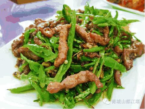 青城山熊猫谷都江堰一日游攻略,熊猫谷青城山都江堰一日游攻略