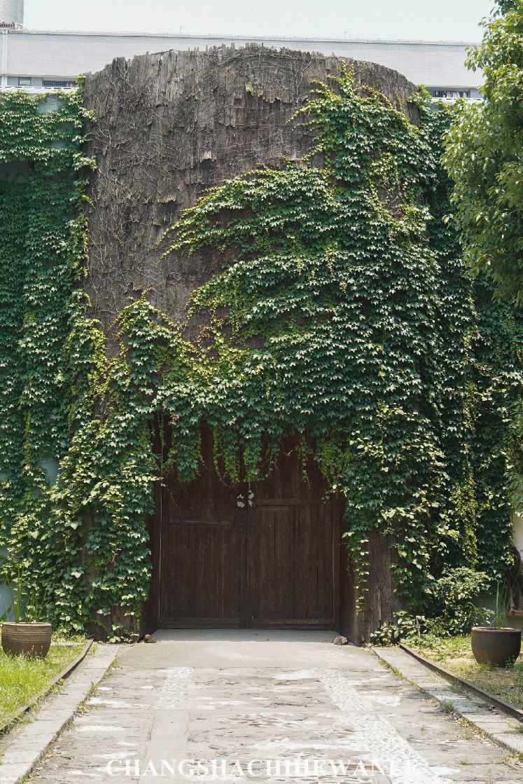 湖南商学院,湖南商学院清吧