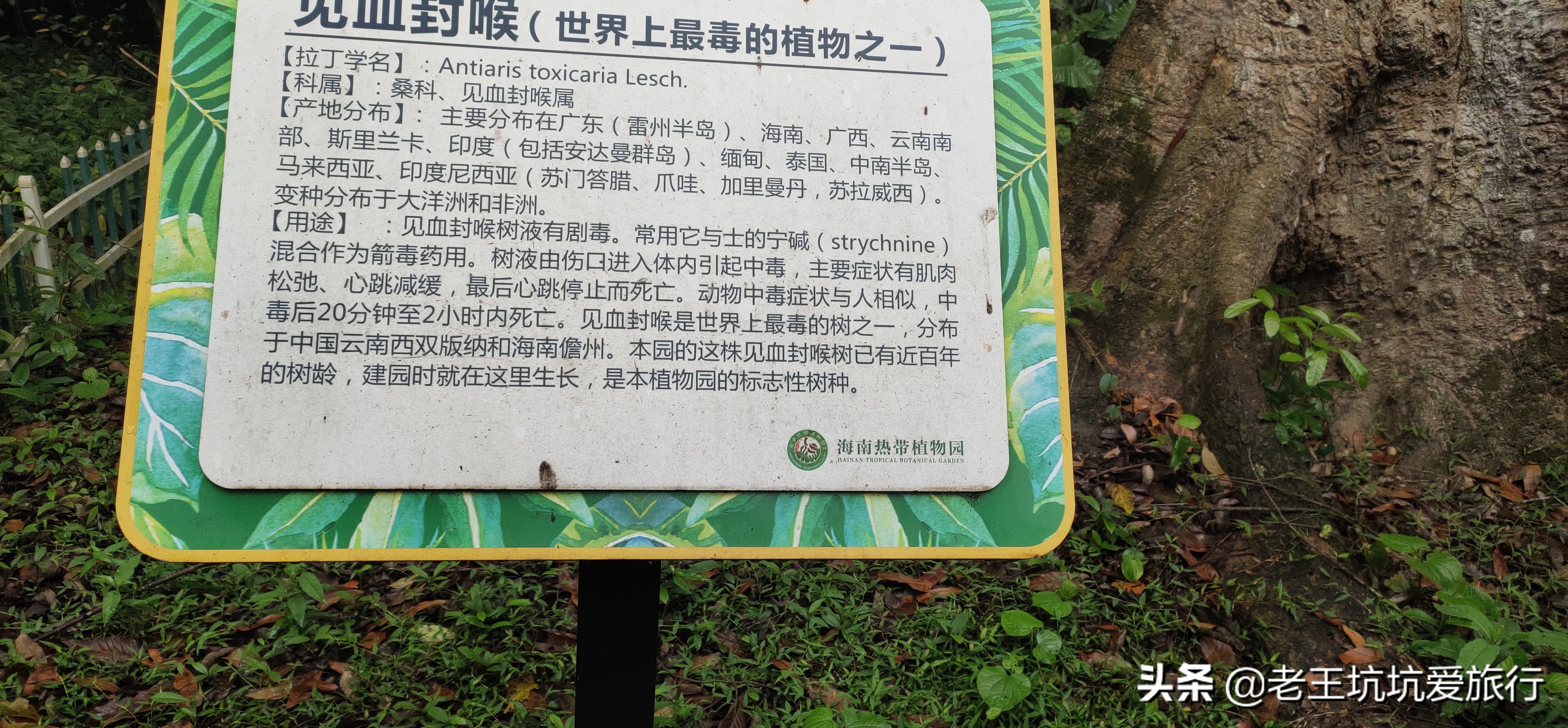 无锡自驾去三亚旅游,俩人一车去旅行