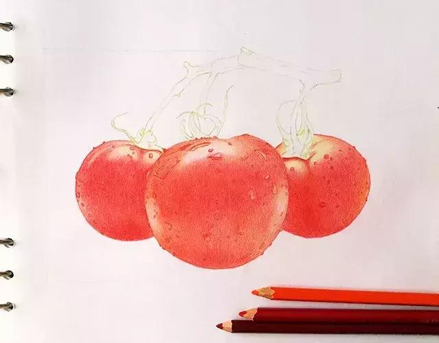 儿童彩铅画番茄,彩铅画写生番茄