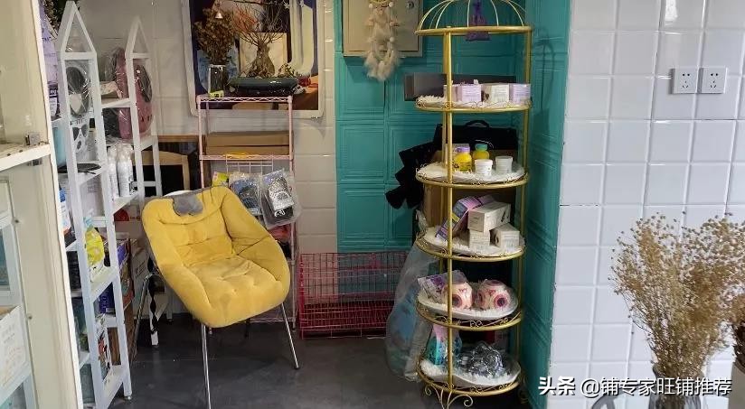 宠物店创业加盟,宠物店一站式前景